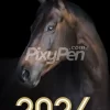 happy new year 2024 with bay horse image wallpaper and background