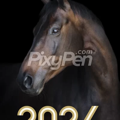 happy new year 2024 with bay horse image wallpaper and background